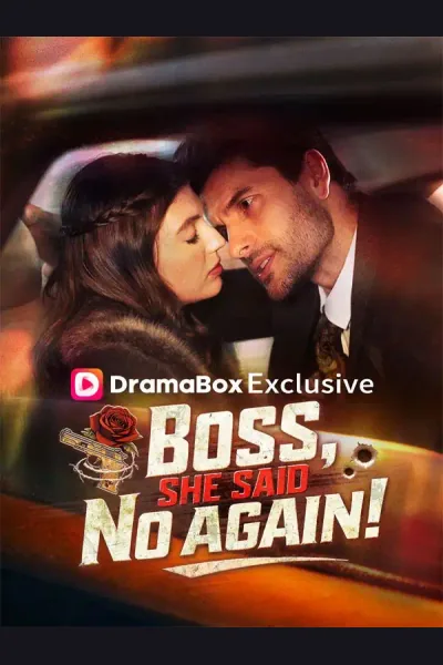 Boss, She Said No Again! poster