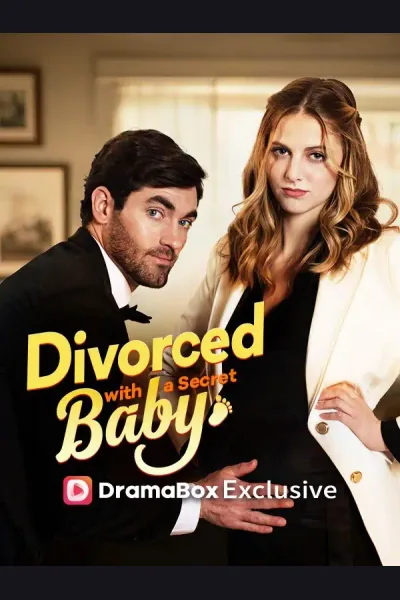 Divorced with a Secret Baby poster