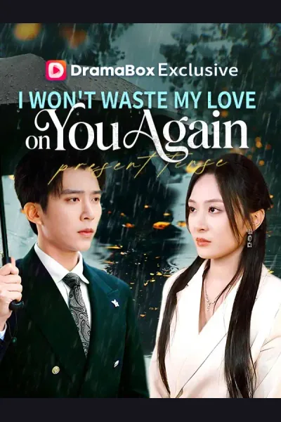 Affiche de I Won't Waste My Love on You Again