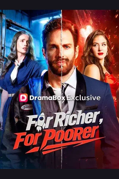 For Richer, For Poorer poster
