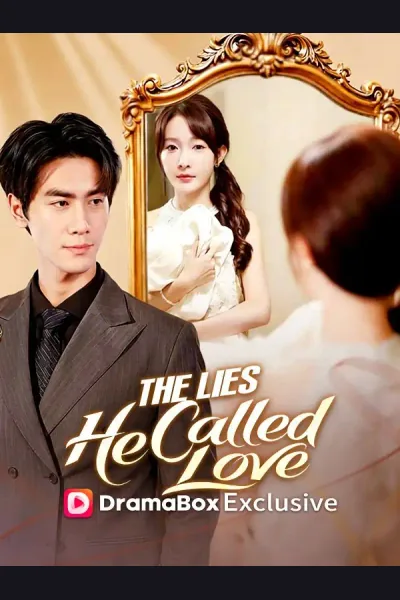 Póster de The Lies He Called Love
