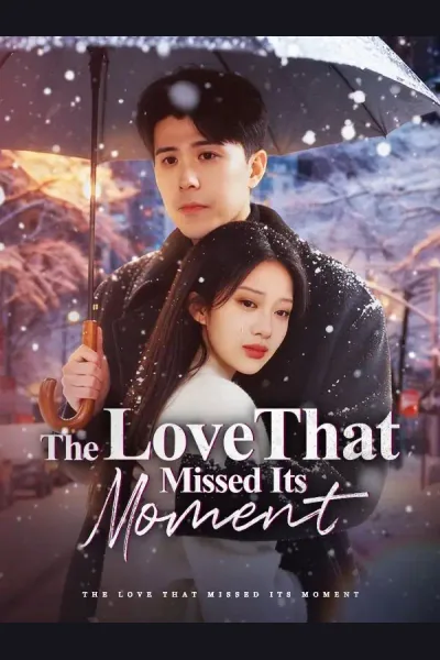 Pôster de The Love That Missed Its Moment