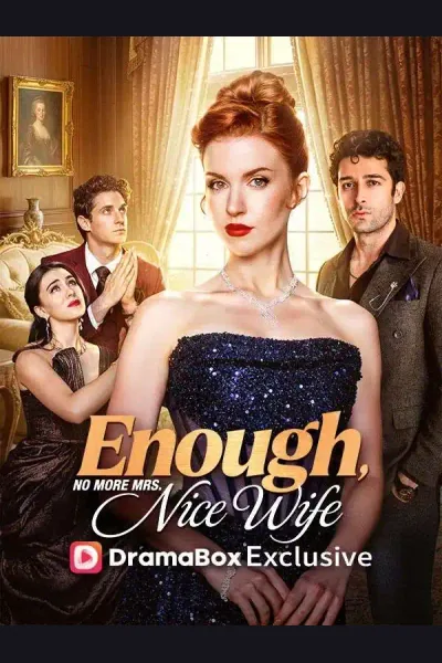 Affiche de Enough! No More Mrs.Nice Wife