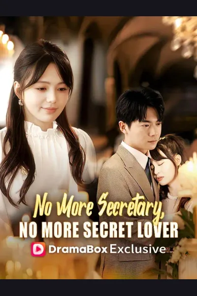 Póster de No More Secretary, No More Secret Lover