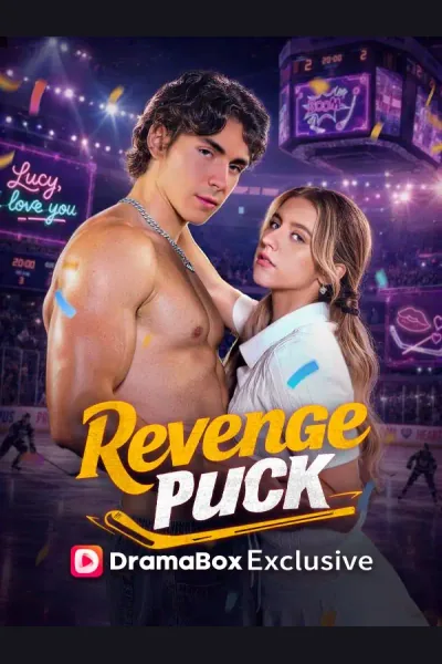 Póster de Revenge Puck