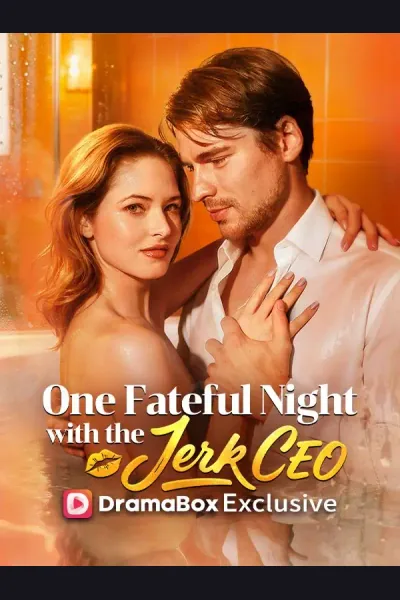 One Fateful Night With The Jerk CEO poster