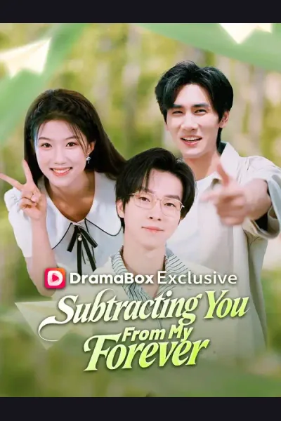 Subtracting You From My Forever poster