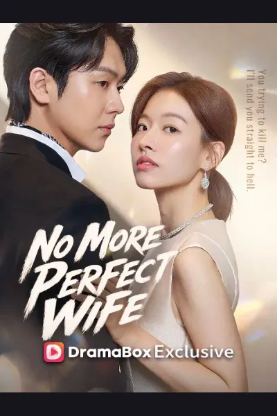 Pôster de No More Perfect Wife