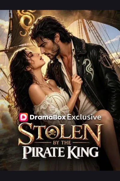 Stolen By The Pirate King poster