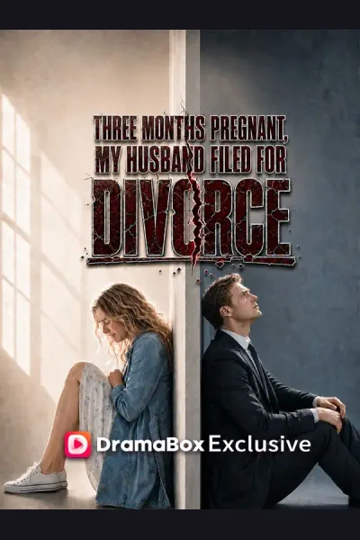 Pôster de Three Months Pregnant, My Husband Filed For Divorce