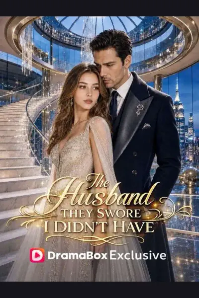 Affiche de The Husband They Swore I Didn't Have