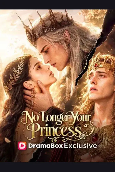 Pôster de No Longer Your Princess