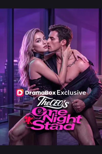 The CEO's One Night Stand poster