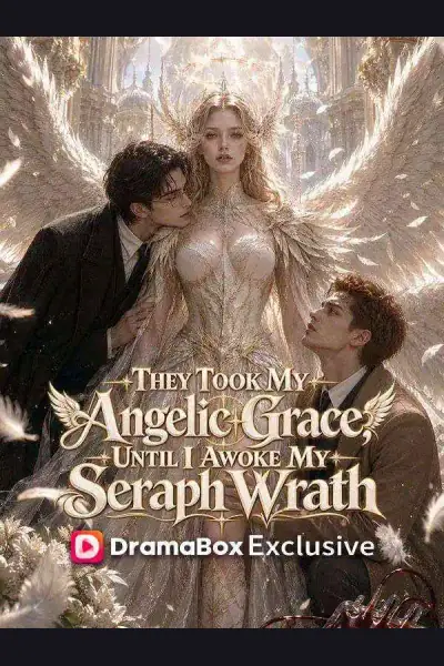 They Took My Angelic Grace, Until I Awoke My Seraph Wrath poster