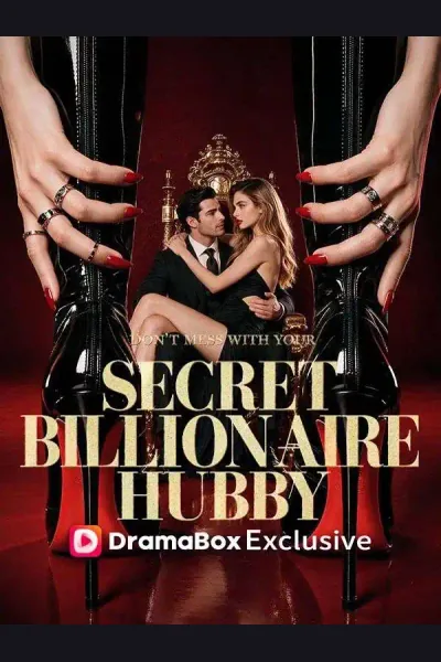 Don’t Mess With Your Secret Billionaire Hubby poster