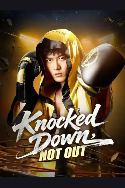 Knocked Down, Not Out poster
