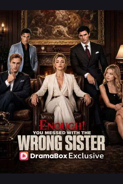 Enough! You Messed With The Wrong Sister poster