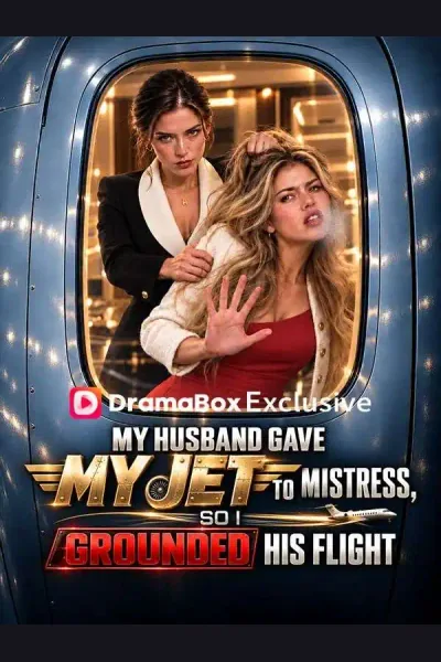 Póster de My Husband Gave My Jet to Mistress, So I Grounded His Flight