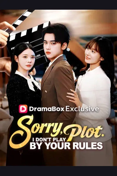 Sorry, Plot. I Don't Play by Your Rules poster