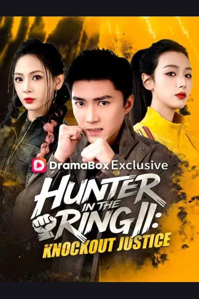 Póster de Hunter in the Ring II: Knockout Justice