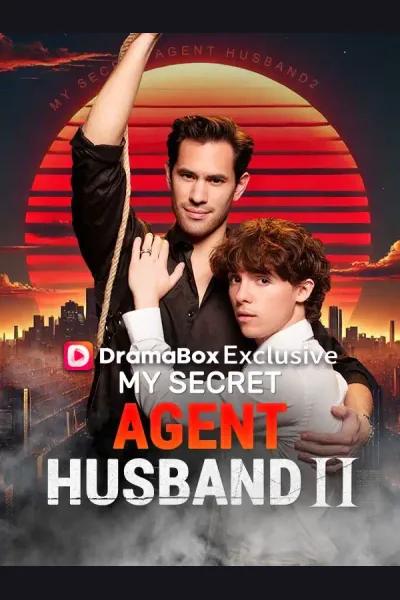 Póster de My Secret Agent Husband 2