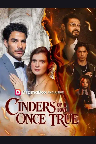 Cinders of a Love Once True poster