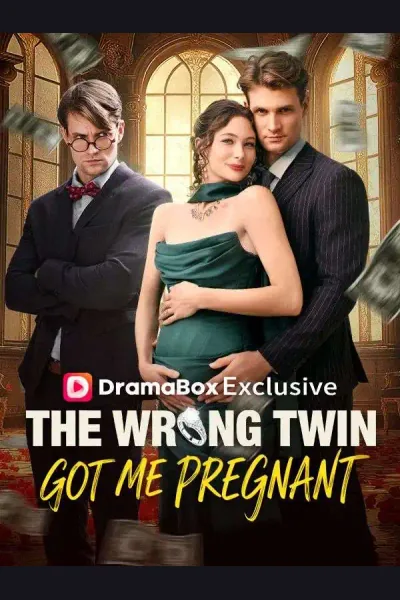 The Wrong Twin Got Me Pregnant poster