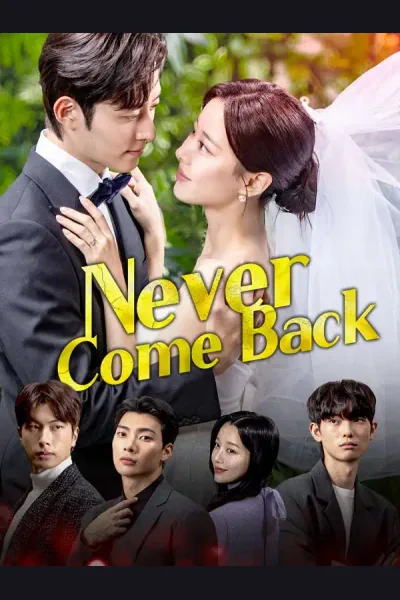 Póster de Never Come Back