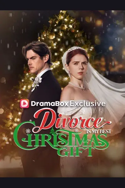 Póster de Divorce Is My Best Christmas Gift