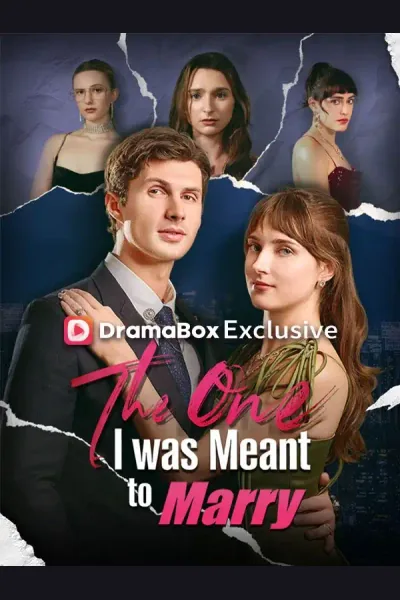 The One I was Meant to Marry poster