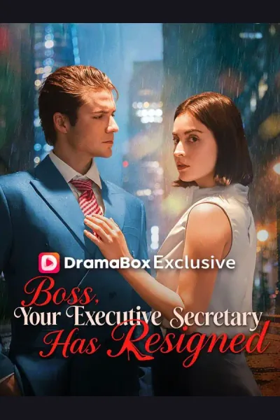 Boss, Your Executive Secretary has Resigned poster