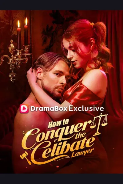 Póster de How to Conquer the Celibate Lawyer