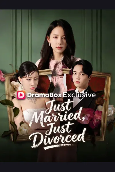 Pôster de Just Married, Just Divorced