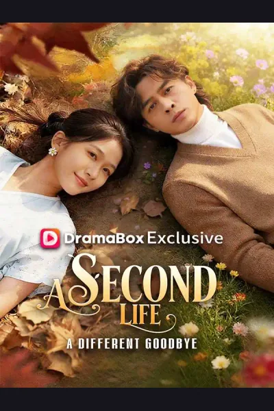 Affiche de A Second Life, A Different Goodbye