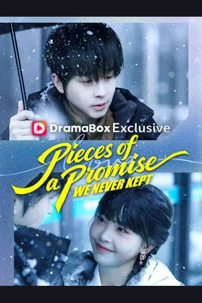 Póster de Pieces of a Promise We Never Kept