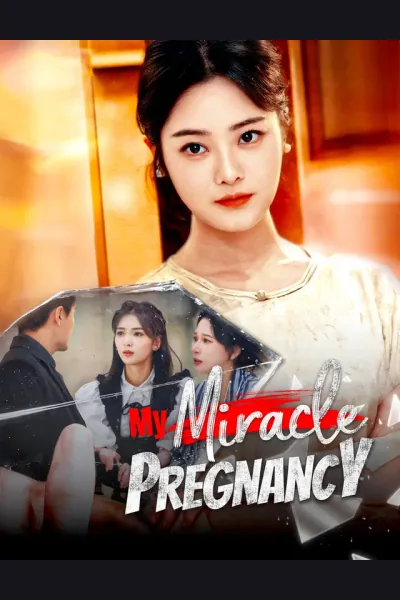 Póster de My Miracle Pregnancy