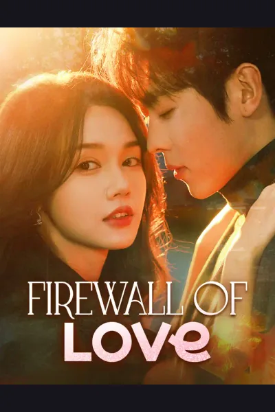 Firewall of Love poster