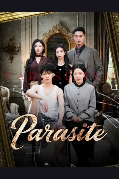Póster de Parasite