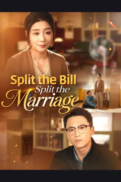 Póster de Split the Bill, Split the Marriage