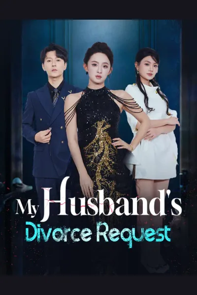 My Husband's Divorce Request poster