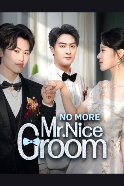 Póster de No More Mr. Nice Groom