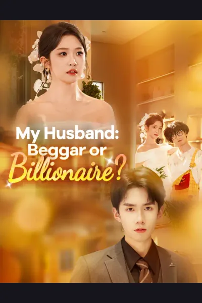 My Husband: Beggar or Billionaire? poster