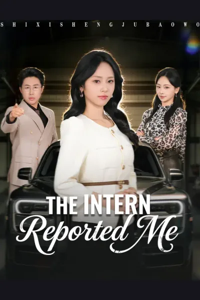 The Intern Reported Me poster