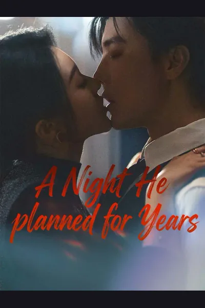 A Night He Planned for Years poster