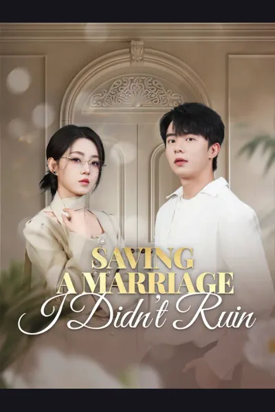 Póster de Saving a Marriage I Didn't Ruin