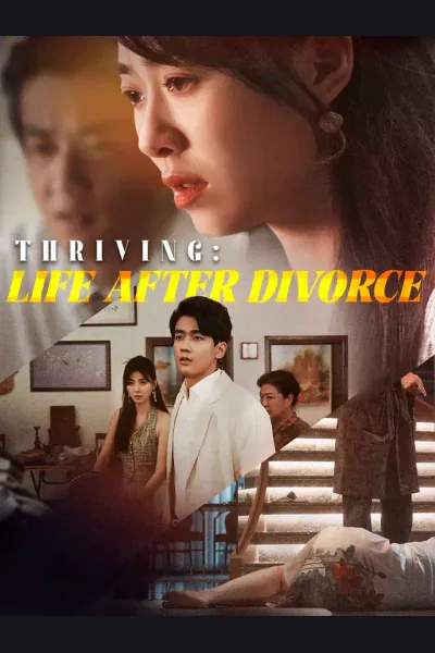 Póster de Thriving: Life after Divorce