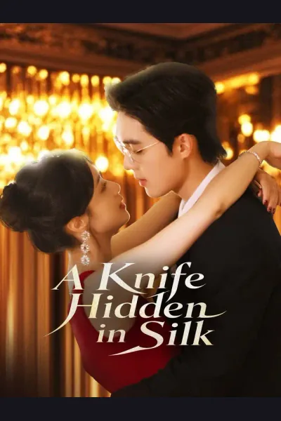 A Knife Hidden in Silk poster