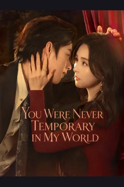 Pôster de You Were Never Temporary in My World