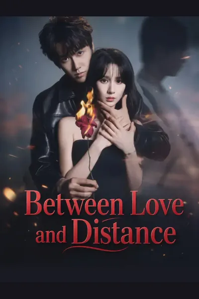 Between Love and Distance poster