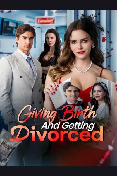 Affiche de Giving Birth and Getting Divorced